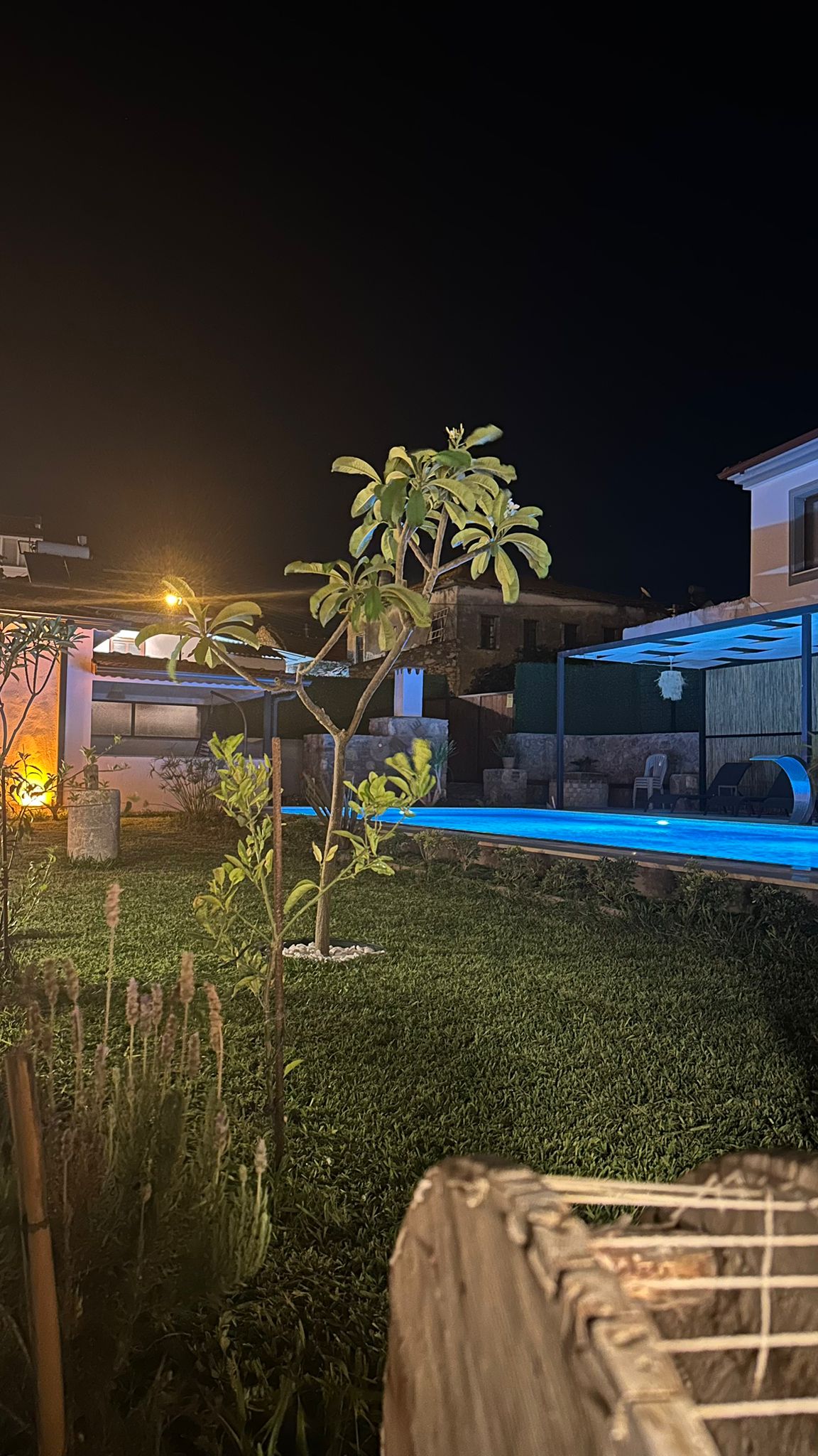 JAKUZİLİ DAİRE-1
