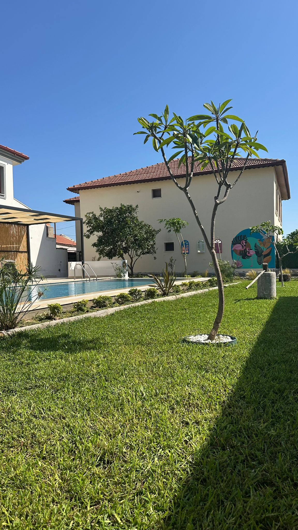 JAKUZİLİ DAİRE-1